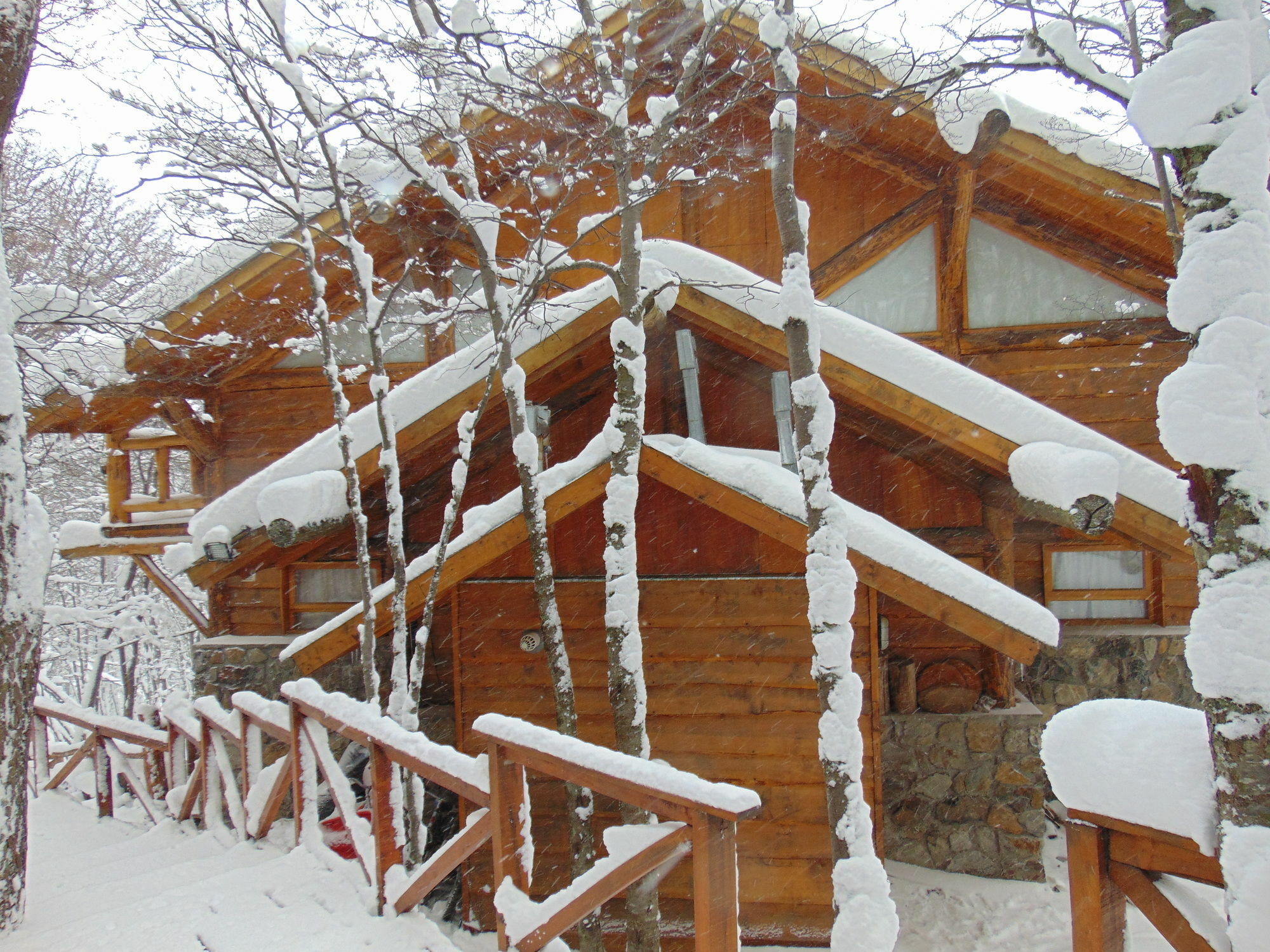 Patagonia Villa Lodge Ushuaia Bagian luar foto